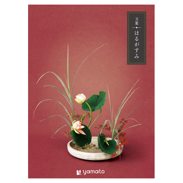 �J�^���O�M�t�g ���t �͂邪����